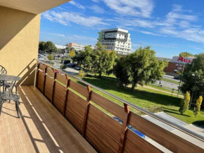 Spacious and Comfortable Apartment, GbWifi, Parking